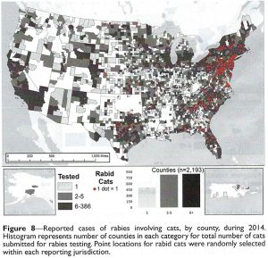 rabies usa